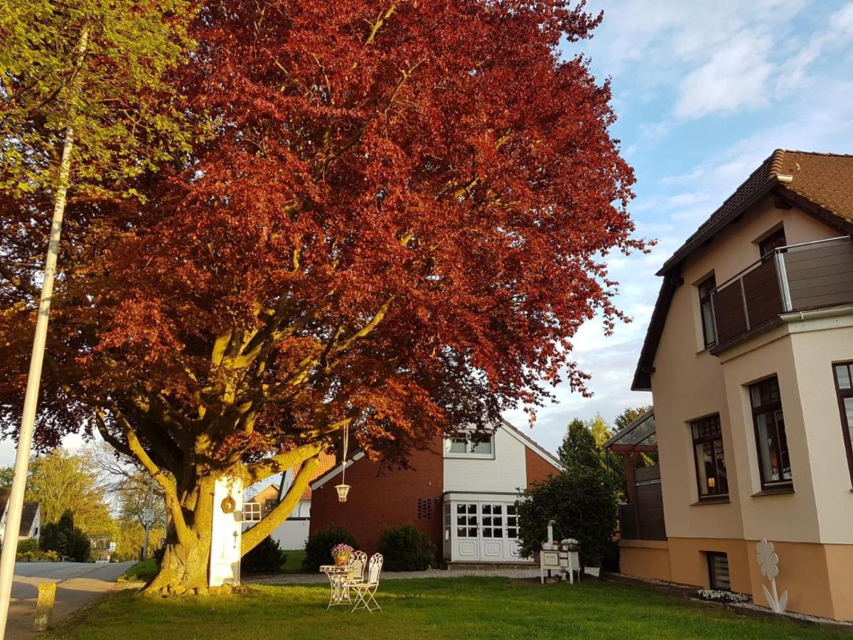 Ostsee Ferienwohnung Pelzerhaken Neustadt in Holstein Dış mekan fotoğraf